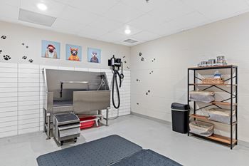 Pet spa with grooming/bathing stations & a pet blow dryer